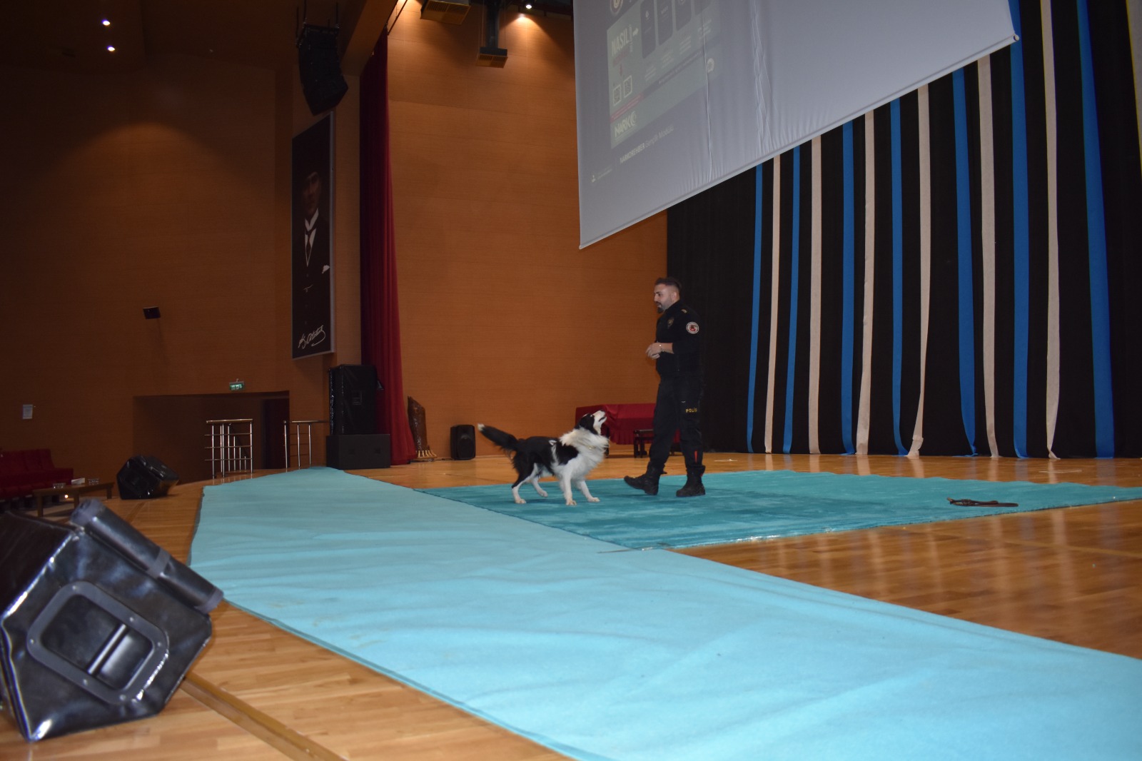 İçerikle ilgili görsel 5